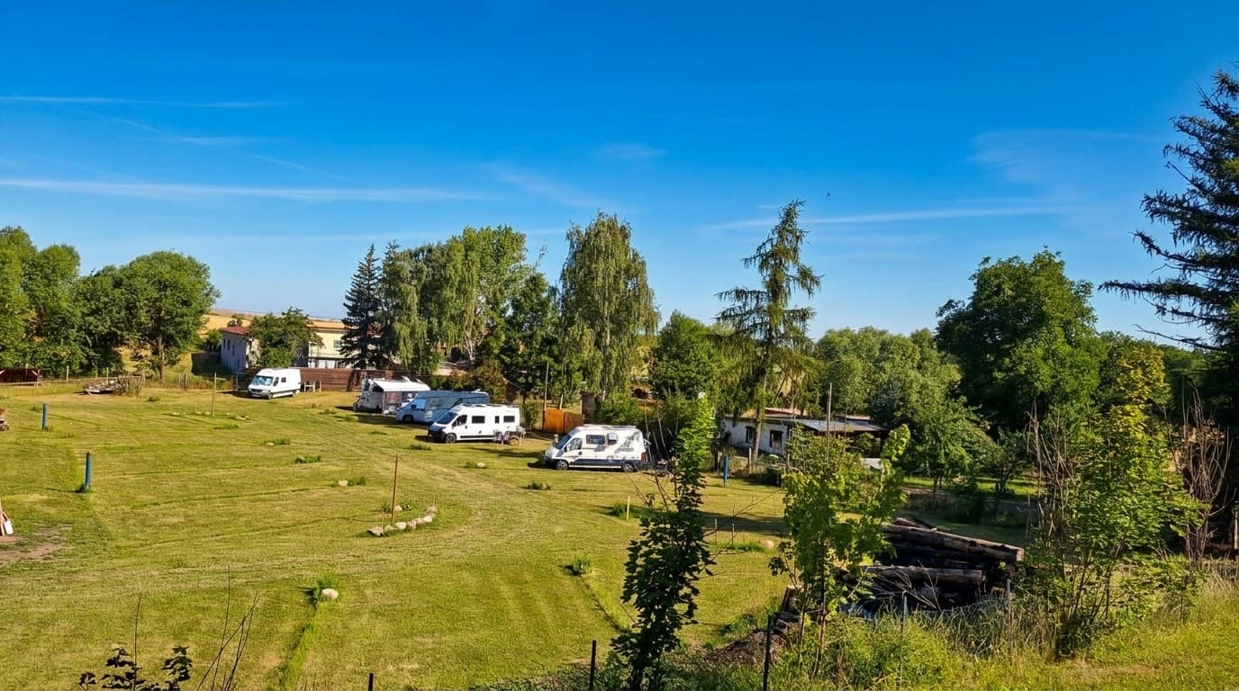 Wohnmobile auf der gemähten Wiese des Campingplatzes unter blauem Himmel, umgeben von Bäumen